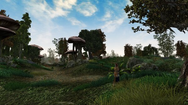 Morrowind 2021-06-14 11.05.31.855.jpg
