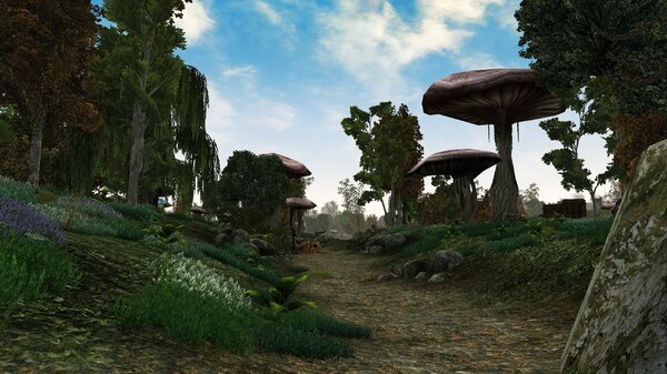 Morrowind 2021-06-14 11.06.10.147.jpg