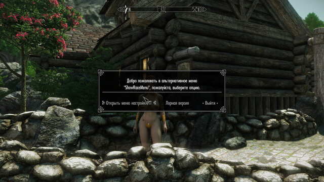 185624564_SkyrimSE2021-07-1711-20-57-306.thumb.jpg.9ef822e25e521de539504f3691fdd6d8.jpg