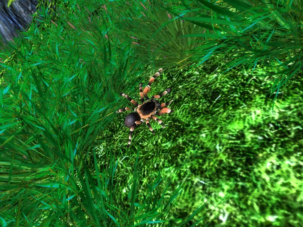 Hunting and Wildlife Expansion Beta Rus