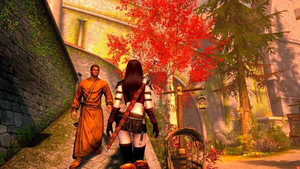 Велене идёт все красное ;) SkyrimSE (сборка 6.0)