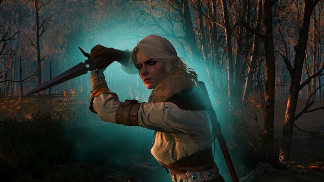 witcher3 2021-08-23 22-43-36-66.jpg