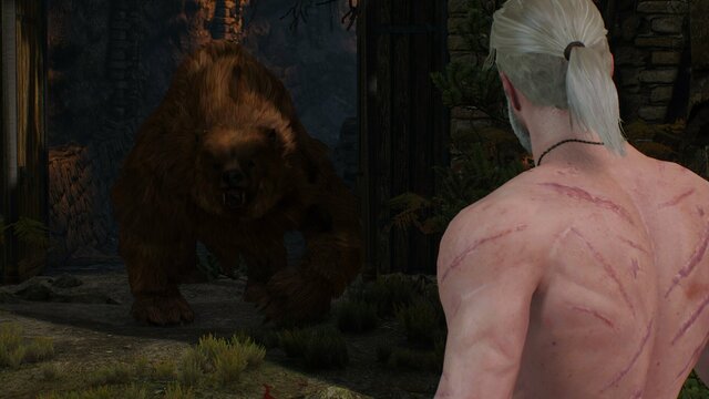 witcher3 2021-08-16 23-03-59-96.jpg