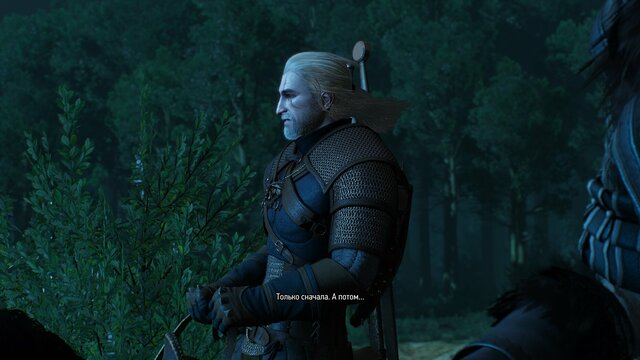 witcher3 2021-08-07 21-49-41-21.jpg