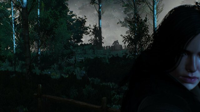 witcher3 2021-08-07 21-49-47-95.jpg