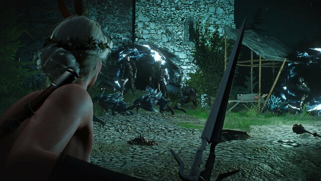 witcher3 2021-08-21 23-55-17-64.jpg