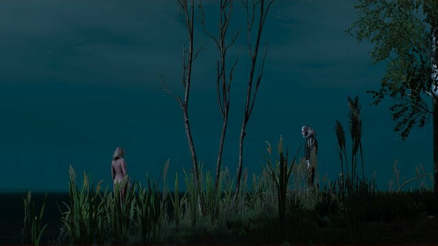 witcher3 2021-08-08 17-52-44-75.jpg