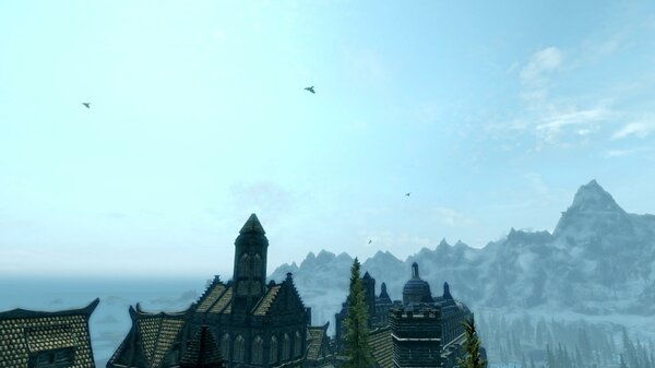 TESV 2021-08-07 16-31-43-25.jpg