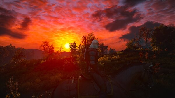 witcher3 Солнышко