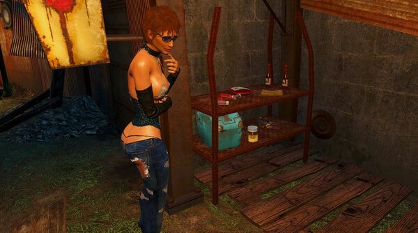 Может познакомимся? ;) Fallout-4 (Сборка 6.5)