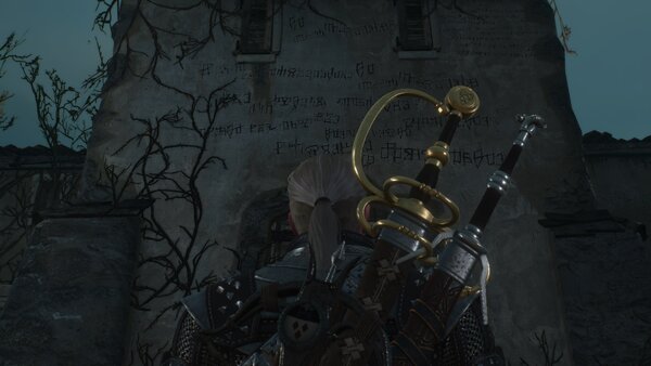 witcher3 Дом Вихта