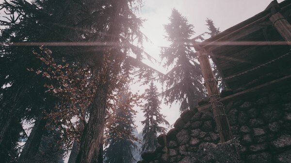 Туманный пейзаж.. SkyrimSE (сборка 6.0)