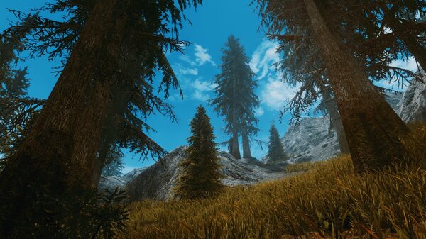 Пейзаж.. SkyrimSE (сборка 6.0)