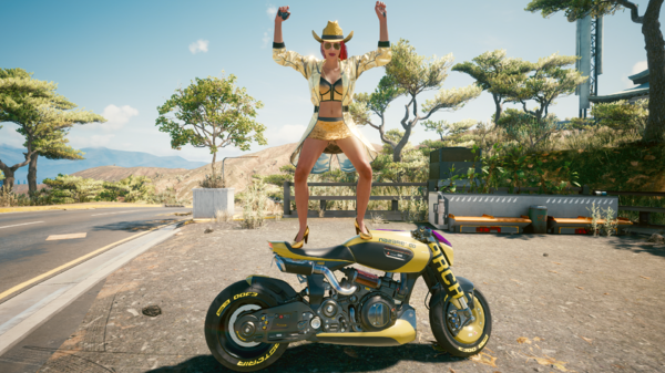 Ви на мотоцикле стоя.