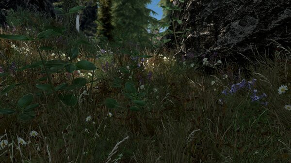 травка зеленеет