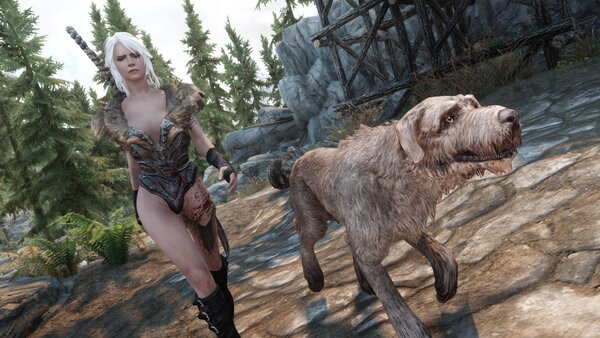 TESV Как же ненавижу эту псину