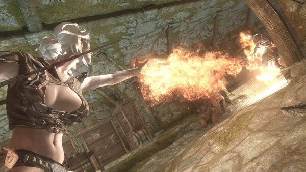 TESV Вот бы Трисс это увидела