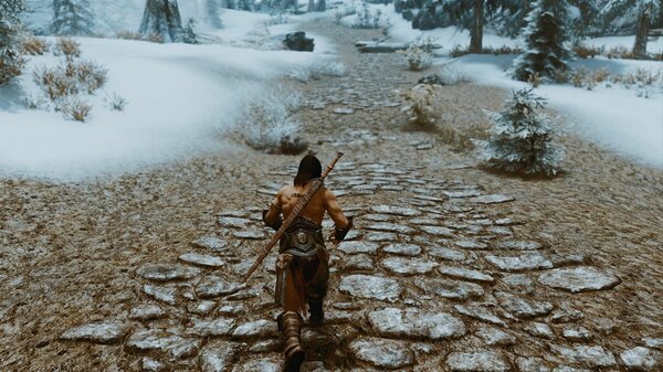 Бегом к приключениям. SkyrimSE (сборка 6.0)