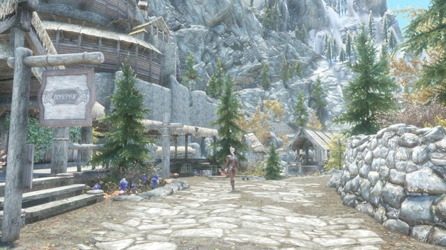 TESV айварстед 4.jpg