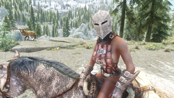 TESV Стражница на задании