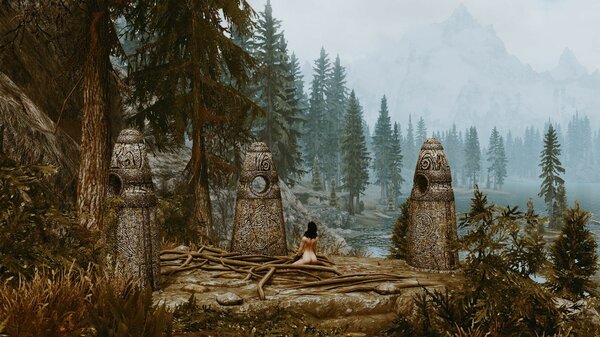 Йеннифер сделала выбор. Skyrim SE (сборка 7.0)