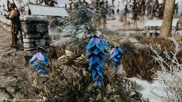 Ядовитый колоколчик.. Skyrim SE (сборка 7.0)