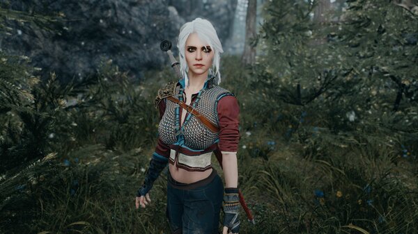 Цирька.. Skyrim SE (сборка 7.0)