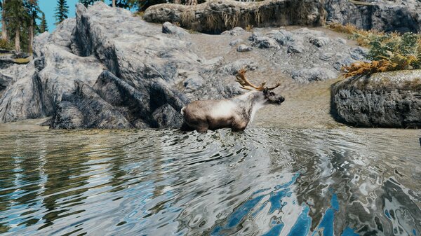 Олень в реке.. Skyrim SE (сборка 7.0)