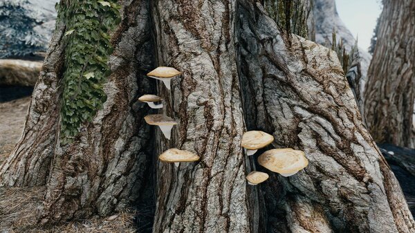 Пень.. Skyrim SE (сборка 7.0)