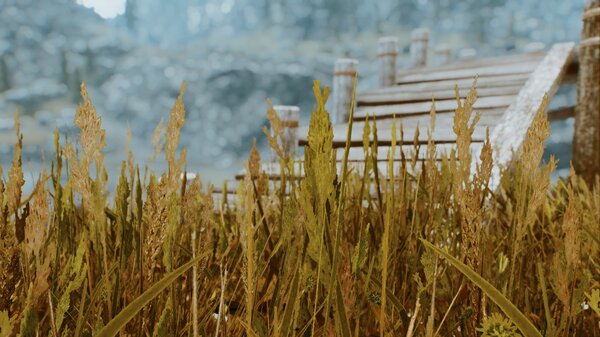 ПЕЙЗАЖ.. SkyrimSE (сборка 6.0)