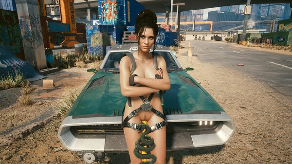 Не приветливая Панам ;) Cyberpunk 2077