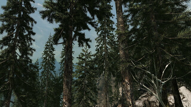 310227956_SkyrimSE2021-10-3119-55-09.thumb.jpg.aeb87a11d90111ba182a13d2175f6adc.jpg