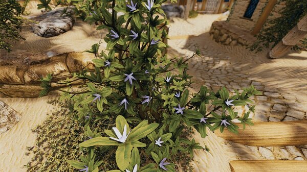 Кустик.. Skyrim SE (Тропики 7.0)