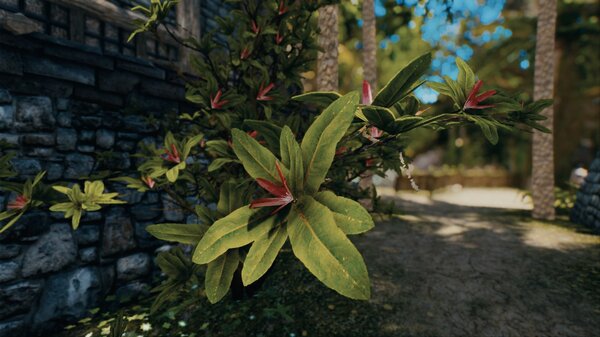 Пейзаж.. Skyrim SE (Тропики 7.0)