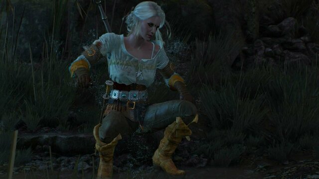 witcher3 2021-12-22 00-06-00-61.jpg