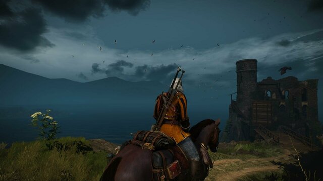 witcher3 2021-12-21 23-18-09-11.jpg