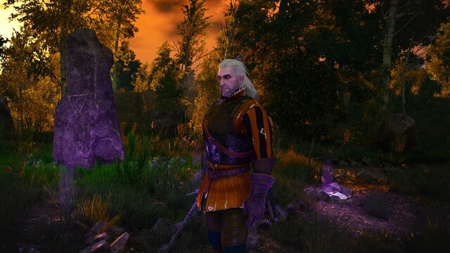 witcher3 2021-12-20 22-04-55-85.jpg