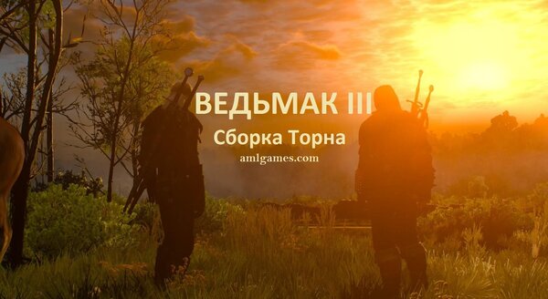 Обложка 2. Ведьмак III (сборка Торна)