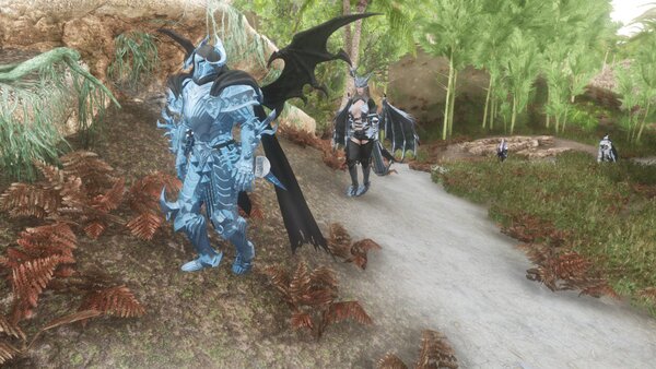 TESV Стражники