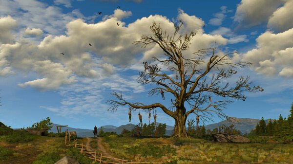 Ничейные земли.. Ведьмак III (сборка Торна)