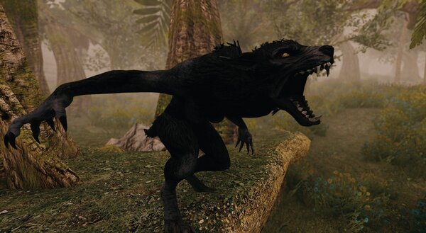 Эйран "волком воет" ;) Skyrim SE (Тропики 7.0)