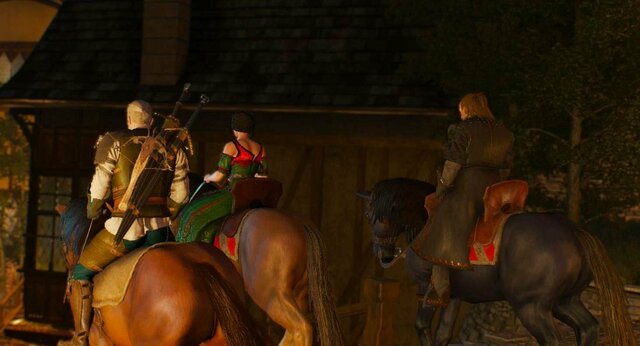 witcher3 2022-01-02 23-23-52-58.jpg