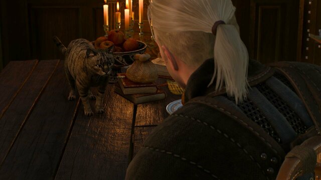 witcher3 2021-12-24 23-24-50-42.jpg