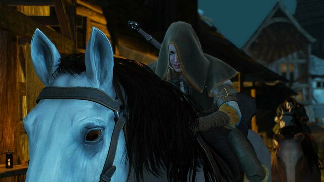 witcher3 2022-01-20 23-35-33-53.jpg