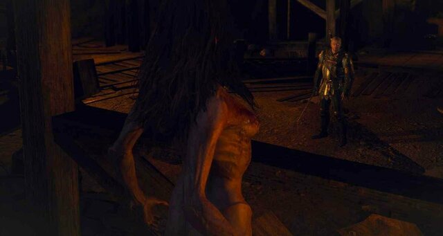 witcher3 2022-01-22 23-42-28-69.jpg