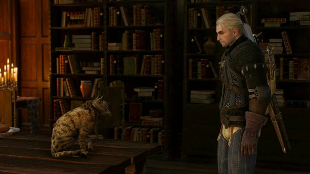 witcher3 2021-12-24 23-37-29-62.jpg