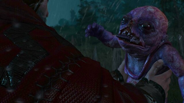 witcher3 2021-12-24 21-27-33-81.jpg