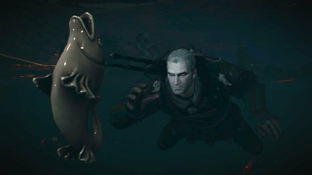 witcher3 2022-01-23 00-31-13-04.jpg