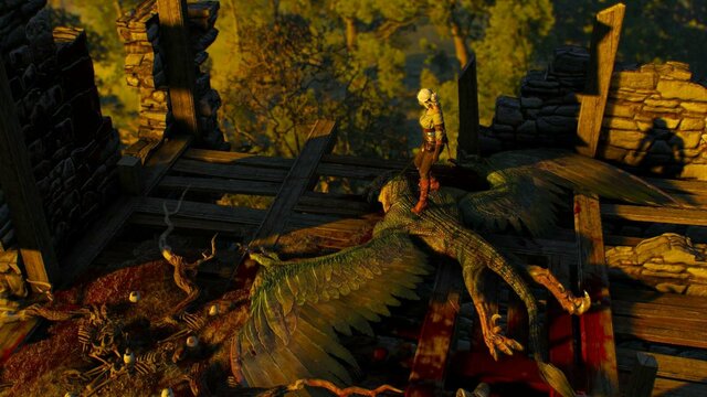 witcher3 2021-12-26 00-54-00-63.jpg