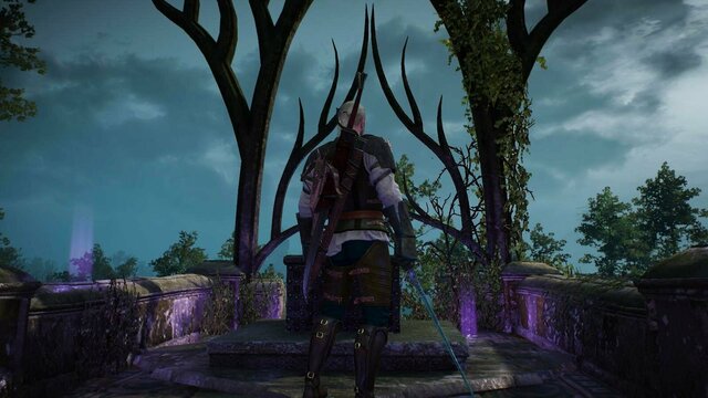 witcher3 2021-12-26 20-51-01-65.jpg